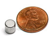 Neodymium  Disc Magnets N52 Neodymium Cylindrical Magnet 1/4"x1/4" Rare Earth Cylinder Magnets