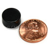 Epoxy Coated N52 Disc NdFeB Rare Earth Magnet 1/2"X1/4"