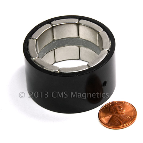 Rare Earth Magnet Bearing
