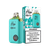 Higo BB 4000 Vape Kit spearmint