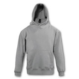 A grey hooded sweatshirt with a kangaroo pocket and a logo. It features a classic design suitable for kids.