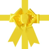 Large yellow decorative door bow with long ribbon tails on a white background.