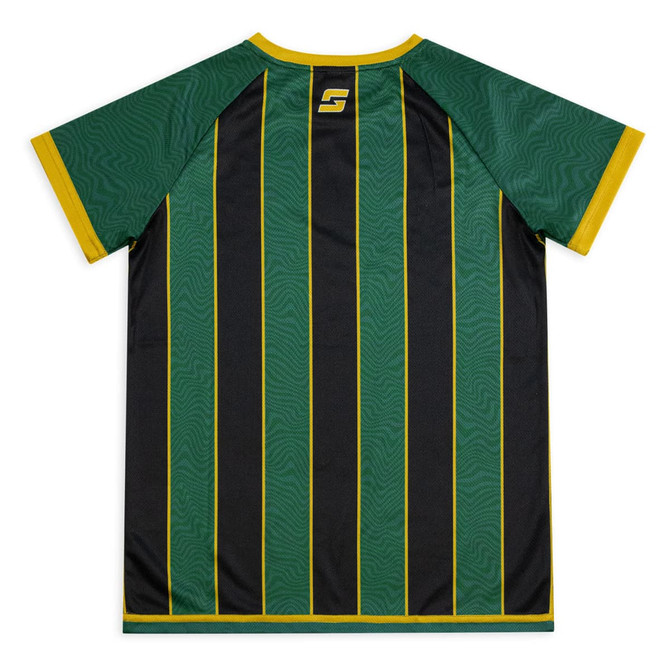 A green and black striped sports jersey with gold accents and a logo on the back.