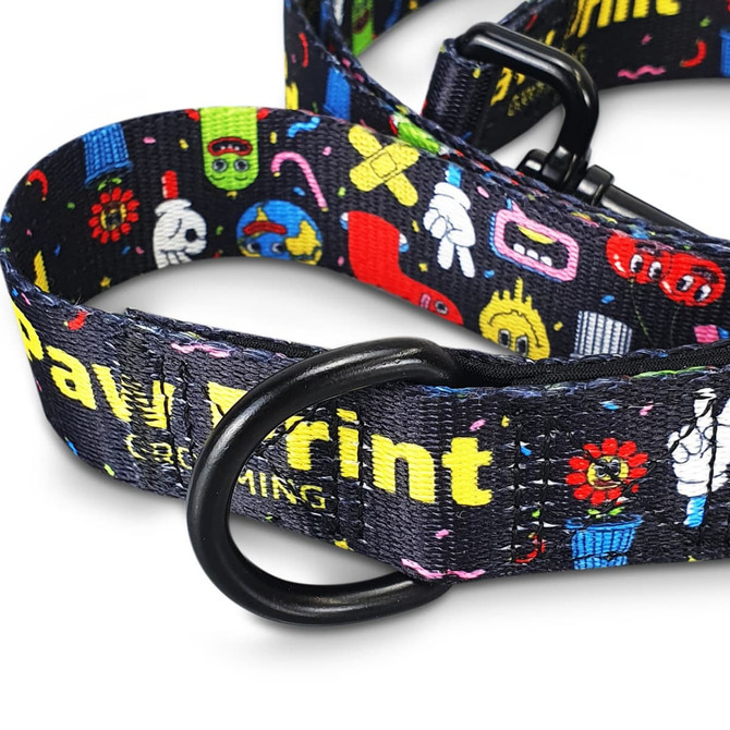 A dog leash featuring a colourful pattern with various playful designs and a black buckle. It has a logo on the strap.