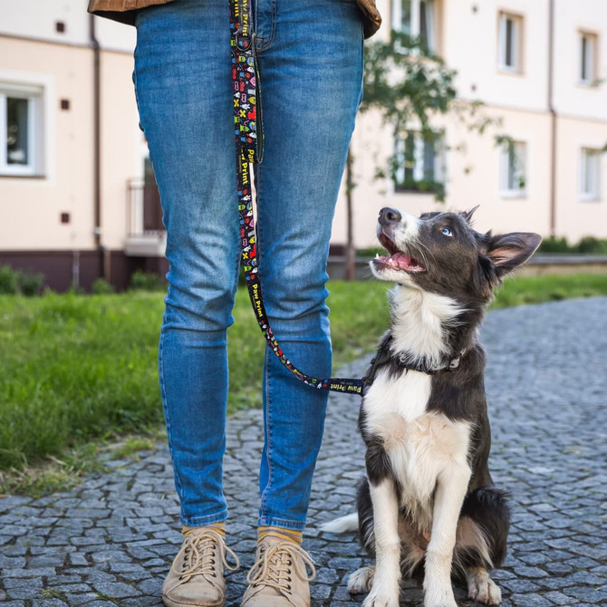 A colourful dog leash stands out against a person’s jeans, with a happy dog sitting beside them.