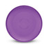 A large purple Aero Flyer with a smooth surface and a central design, featuring a branding logo.