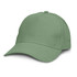 A green cap with a curved brim and a logo on the front. The design features a six-panel structure.