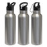 A drink bottle trio featuring a stainless steel finish with black lids and a clip-on cap. Each has a different spout design.