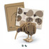 A wooden kiwi model in natural shades, with assembly pieces and a design template in the background. Contains a logo.