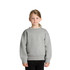 A grey jumper for kids, featuring a relaxed fit with long sleeves and a round neck design.