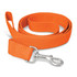 An orange dog leash with a silver clasp.