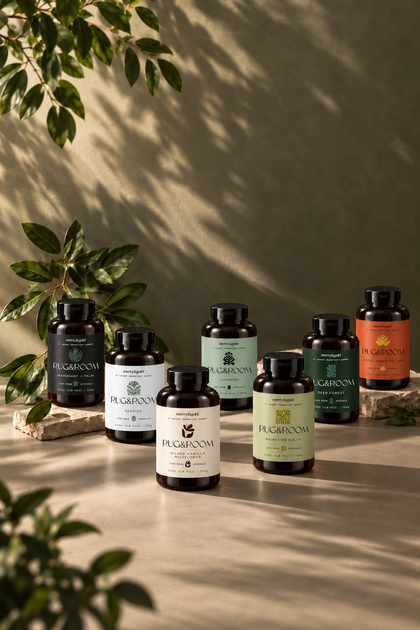 Rug + Room Luxe Carpet Deodorizer Powder
