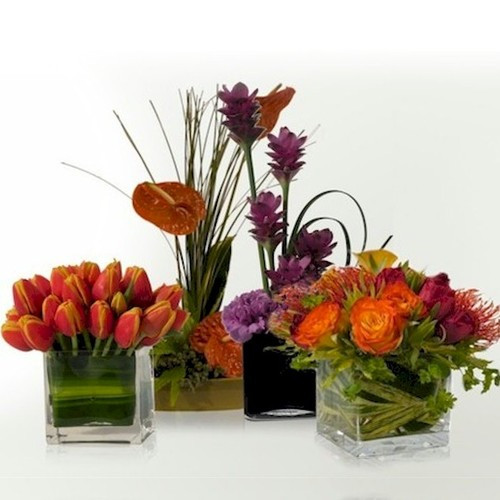 Seasonal Designer's Choice 