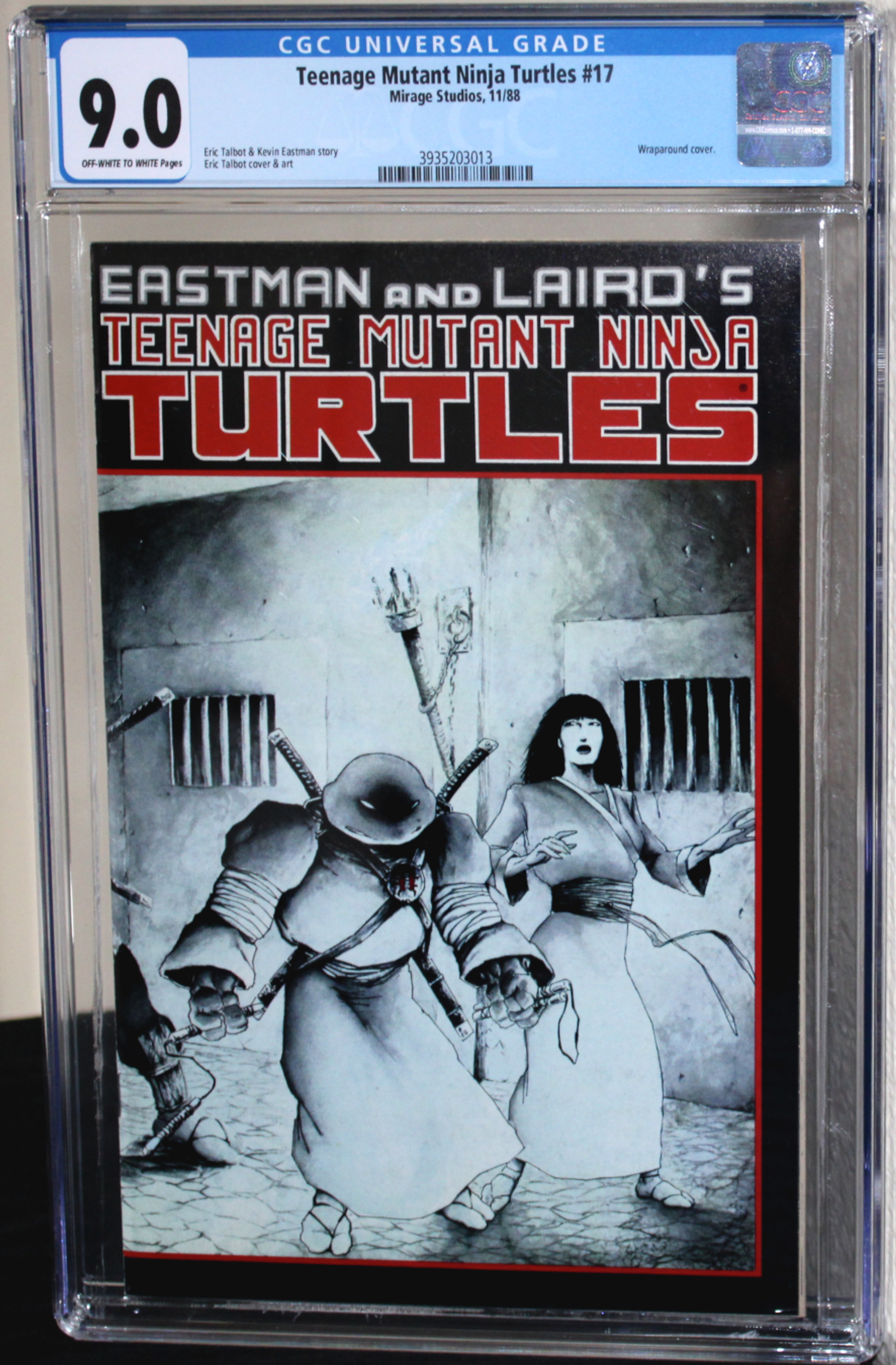 Teenage Mutant Ninja Turtles #17