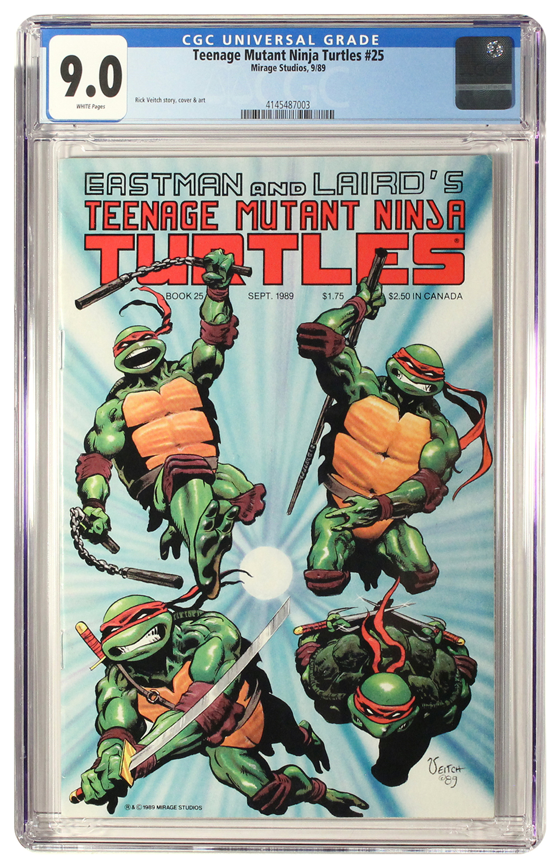 Teenage Mutant Ninja Turtles #25