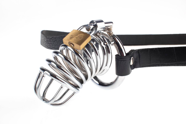 Fetish Fantasy Extreme Chastity Belt Image0