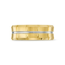 SAMPL01003