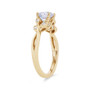 WEBMT01550-A