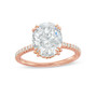 WEBMT02494_1