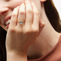 WBSET00064_1