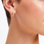 EHOOP08544_1