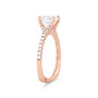 WEBMT02084-A