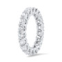 BLDXL23777_1