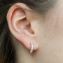 EHOOP03902_1