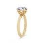 WEBMT02945-A