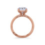 WEBMT02946-U