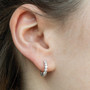 EHOOP03902_1