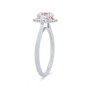 WEBMT00584-A
