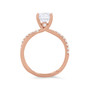 WEBMT02555-U