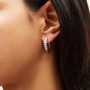 EHOOP09857_1