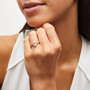 WBSET00088_1