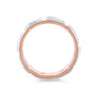 BGD02981-U