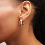 EHOOP09753_1