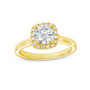 WEBMT02836_1