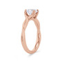 WEBMT01565-A