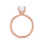 WEBMT02555-U