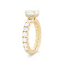 WEBMT02069-A
