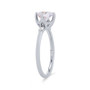 WEBMT00586-A