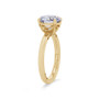 WEBMT02945-A