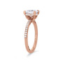 WEBMT02950-A