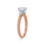 WEBMT02931-A