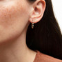 EHOOP09599_1