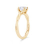 WEBMT01564-A