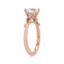 WEBMT01543-A