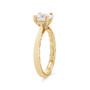 WEBMT02065-A