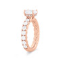 WEBMT02072-A